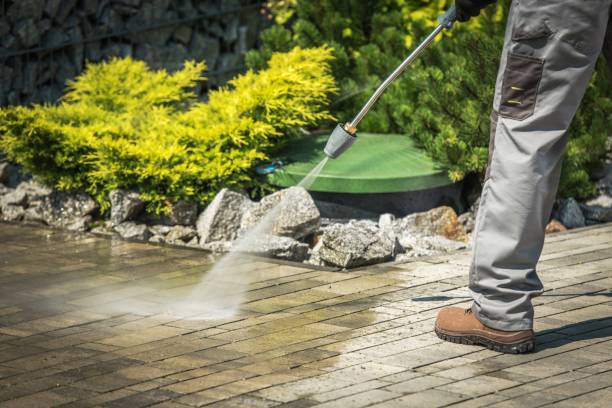 Best Dumpster Area Cleaning  in Green Island, NY